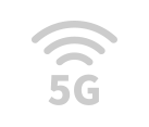 5G/4G Public Network Access
